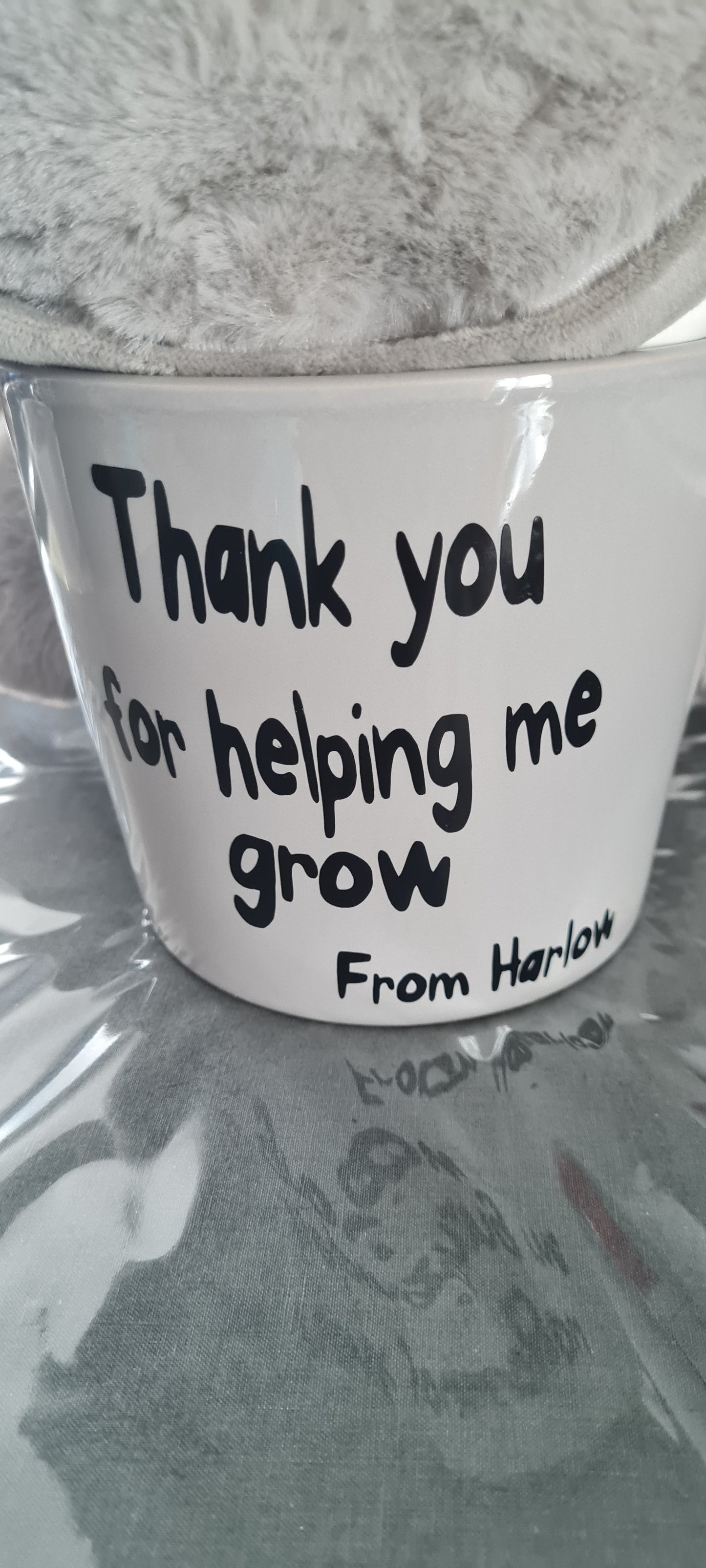 Thank you for helping me grow planter - With free baby spider plant! -Thank you Teachers gift - thank you gift- grandma- grandad gift
