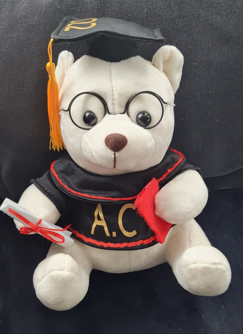 20cm Personalised Graduation bears
