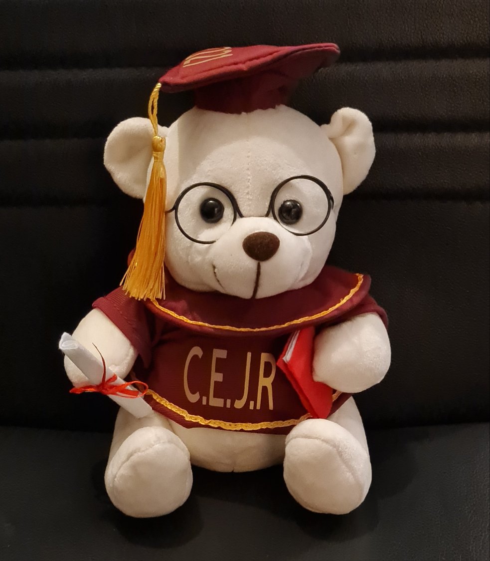 20cm Personalised Graduation bears